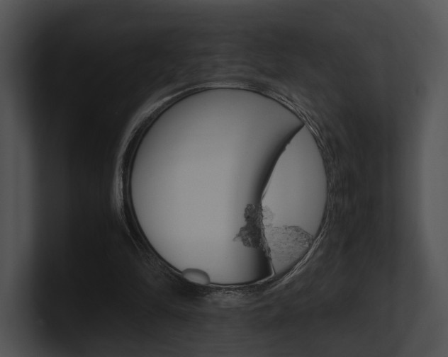 X0000100950294200806241128