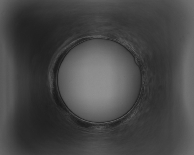 X0000100950295200806241128
