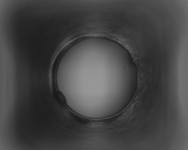 X0000100950296200806241128