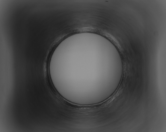 X0000100950298200806241128