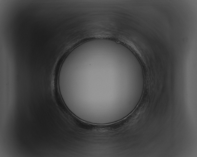 X0000100950299200806241128