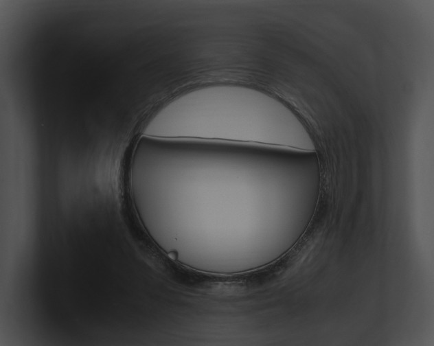 X0000100950303200806241128