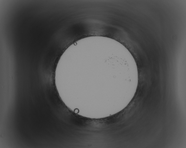 X0000100950305200806241128