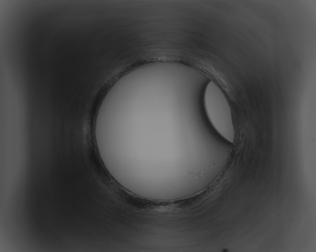 X0000100950306200806241128