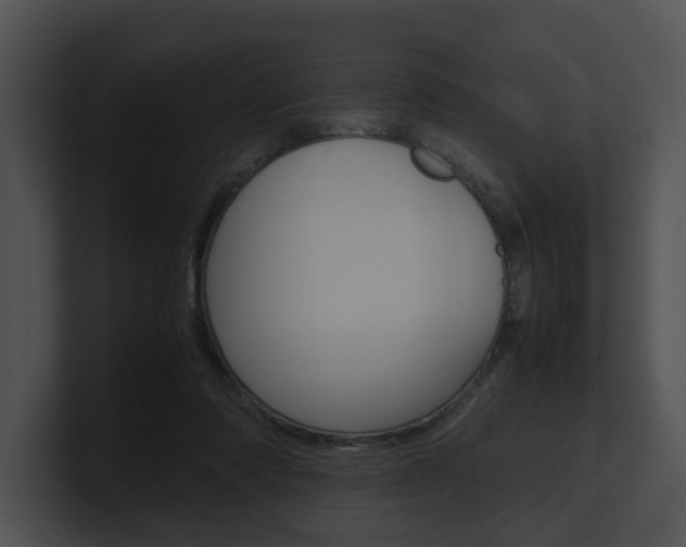X0000100950310200806241128