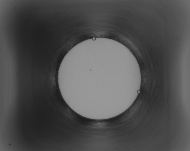 X0000100950313200806241128