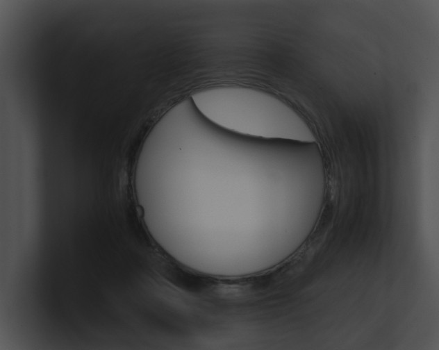 X0000100950314200806241128