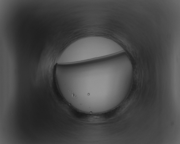 X0000100950315200806241128
