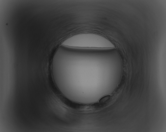 X0000100950319200806241128