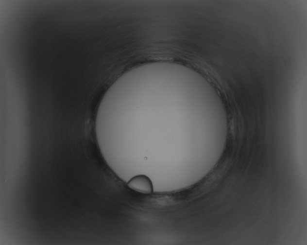 X0000100950322200806241128