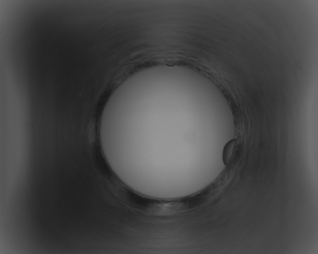 X0000100950323200806241128