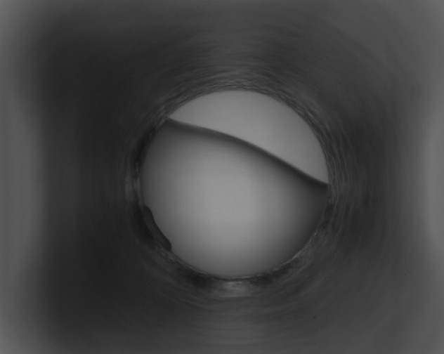 X0000100950324200806241128