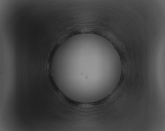 X0000100950327200806241128