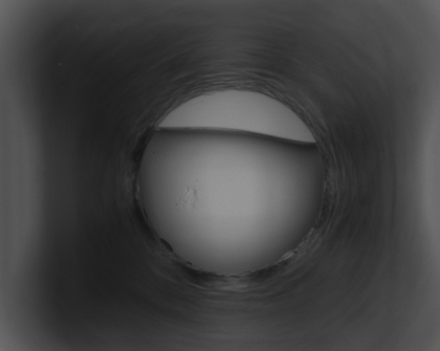 X0000100950328200806241128