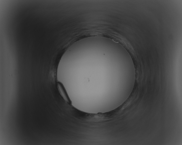 X0000100950329200806241128