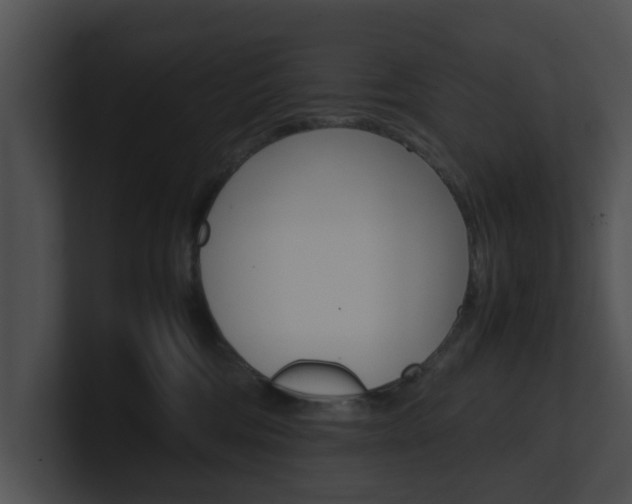 X0000100950330200806241128