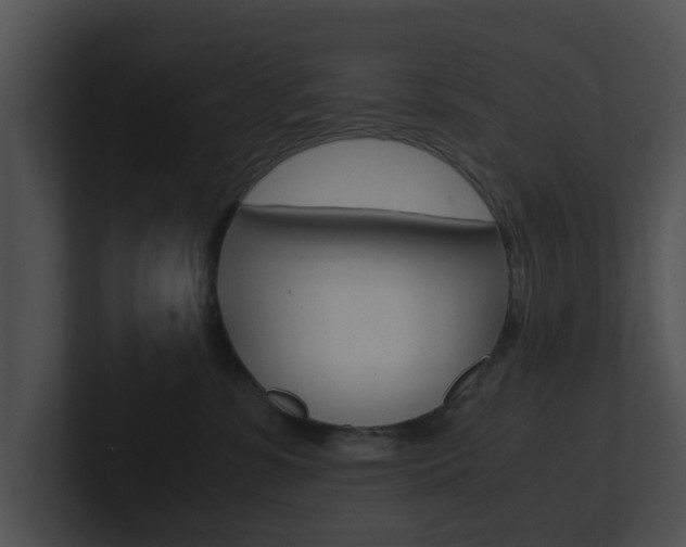 X0000100950331200806241128