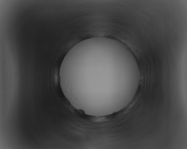 X0000100950334200806241128