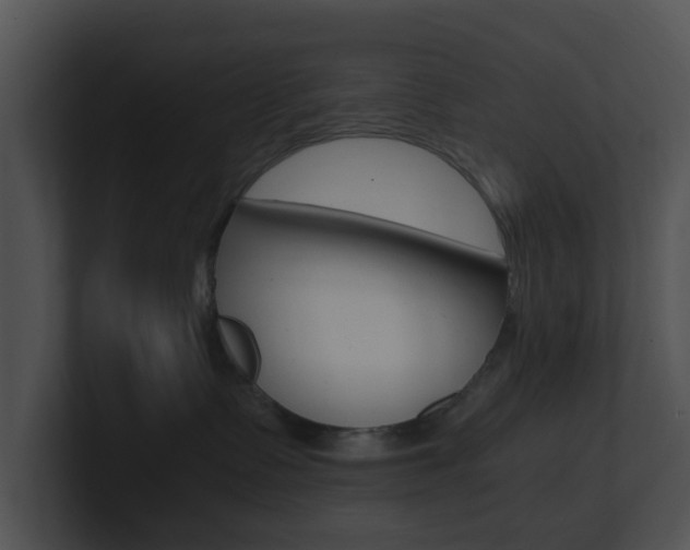 X0000100950335200806241128