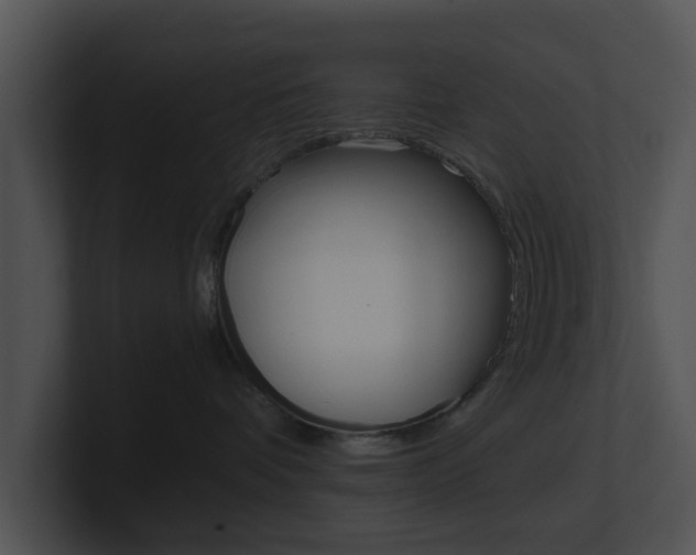 X0000100950336200806241128