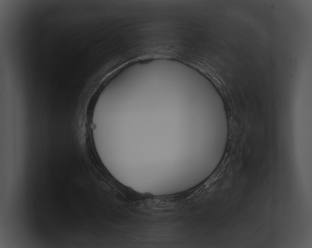X0000100950338200806241127