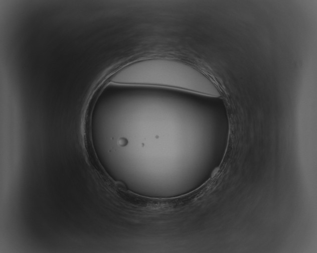 X0000100950340200806241127