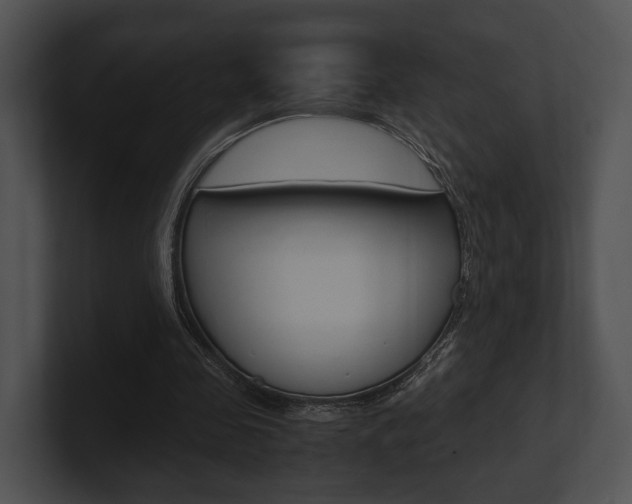 X0000100950341200806241127
