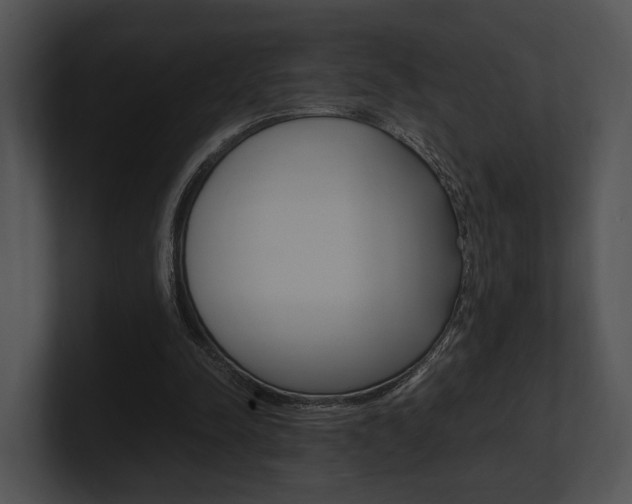 X0000100950342200806241127
