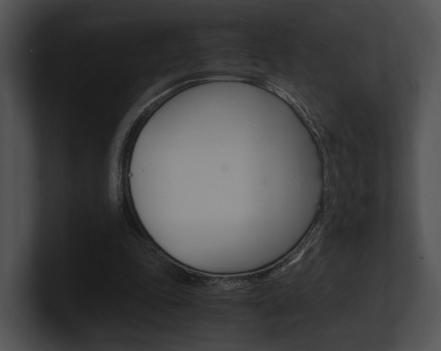 X0000100950343200806241127