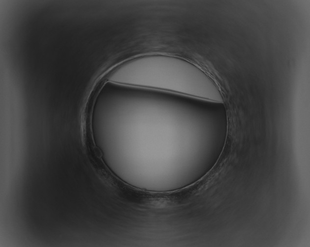 X0000100950344200806241127