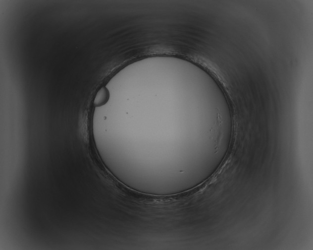 X0000100950345200806241127