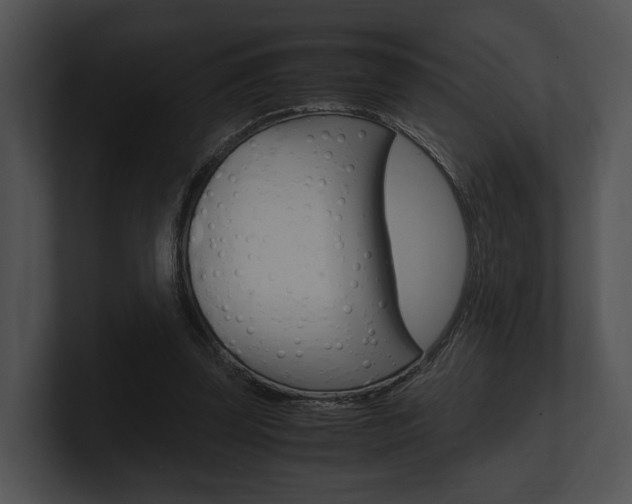 X0000100950347200806241127