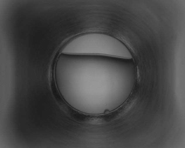 X0000100950348200806241127
