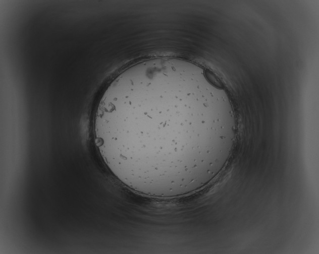 X0000100950351200806241127