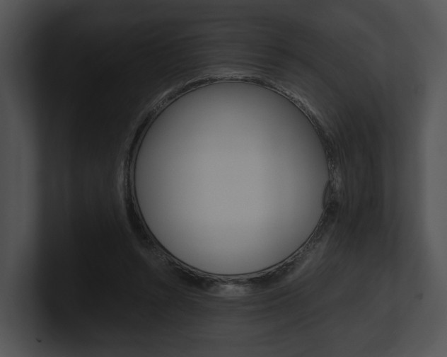 X0000100950352200806241127