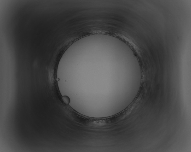 X0000100950353200806241127