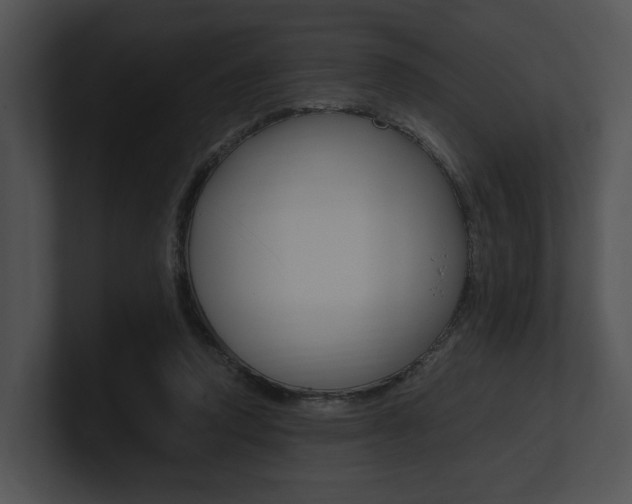 X0000100950354200806241127