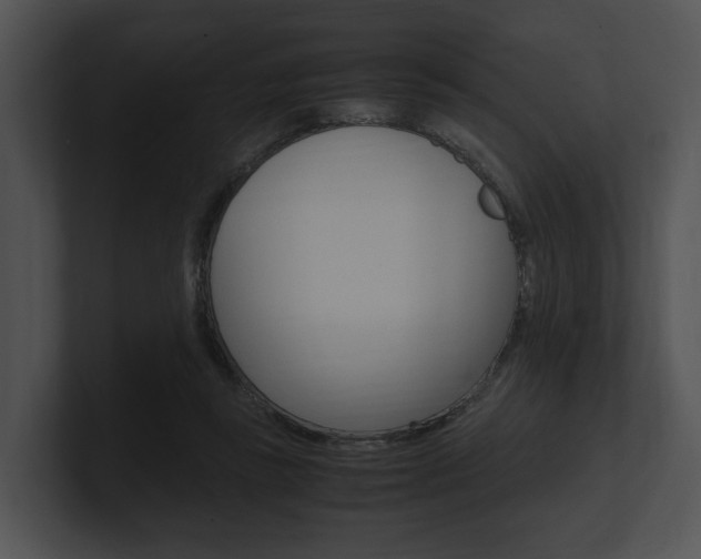 X0000100950355200806241127