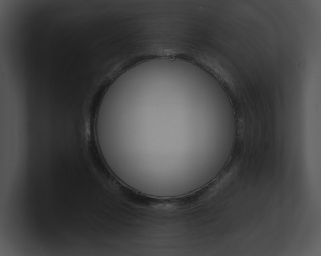 X0000100950358200806241127