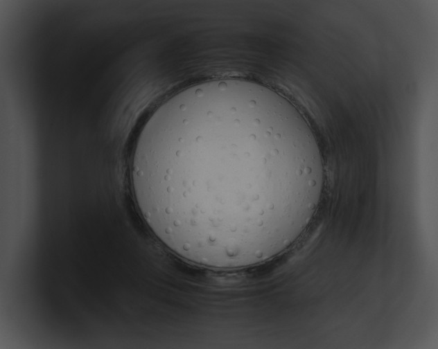 X0000100950359200806241127