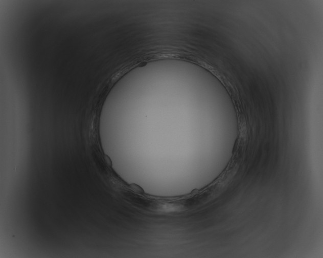 X0000100950360200806241127