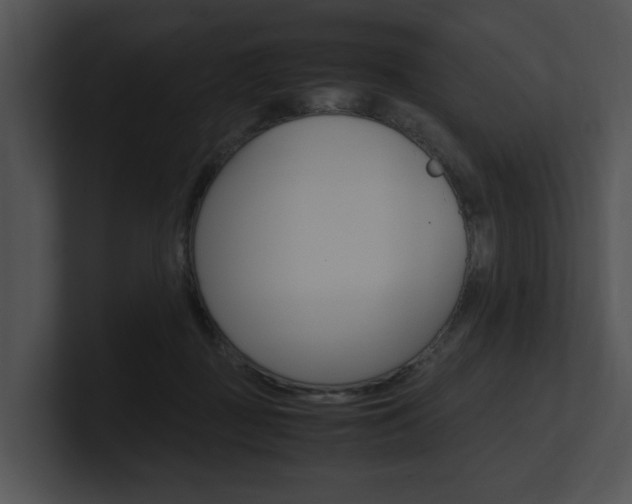 X0000100950363200806241128
