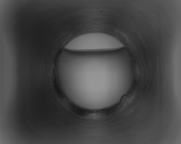 X0000100950364200806241128