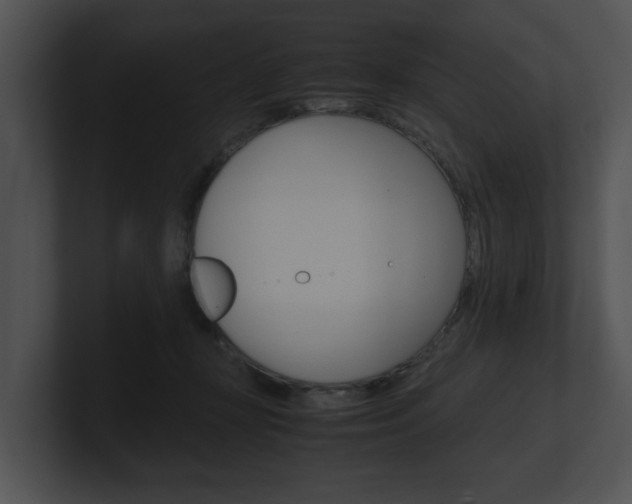 X0000100950367200806241128