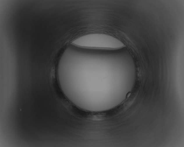 X0000100950368200806241128