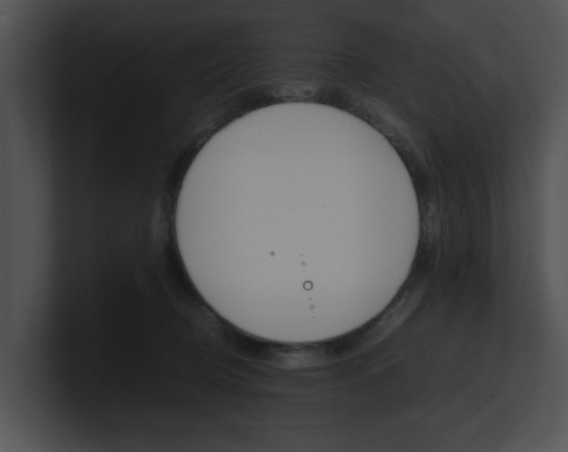 X0000100950370200806241128