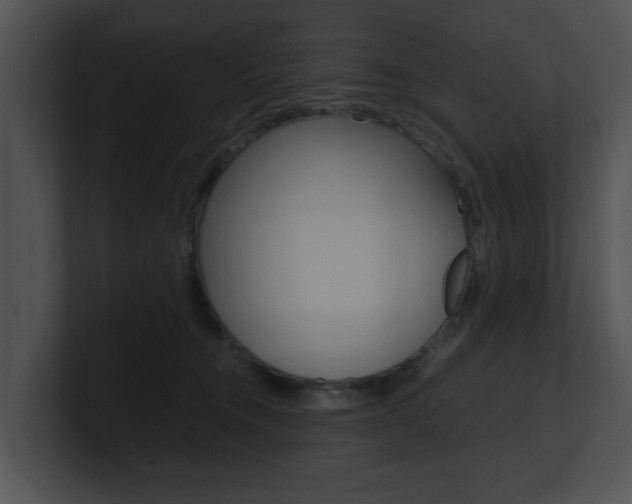 X0000100950372200806241128