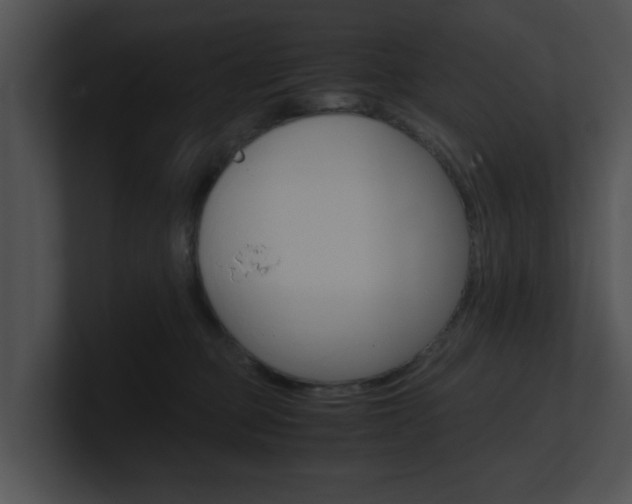 X0000100950373200806241128