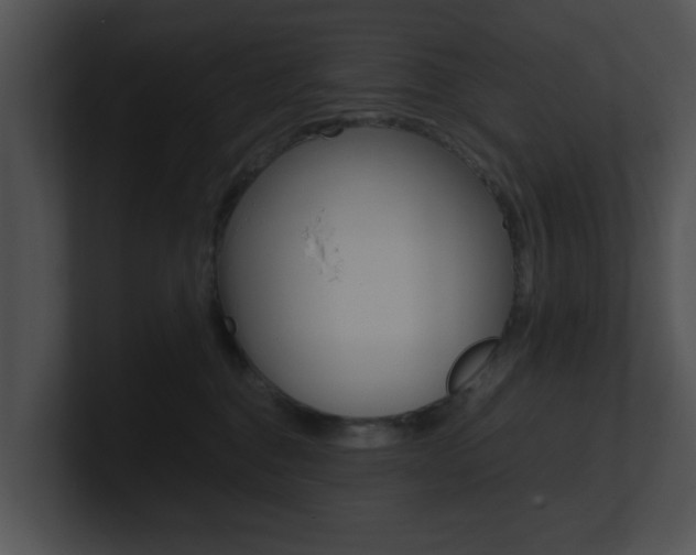 X0000100950376200806241128