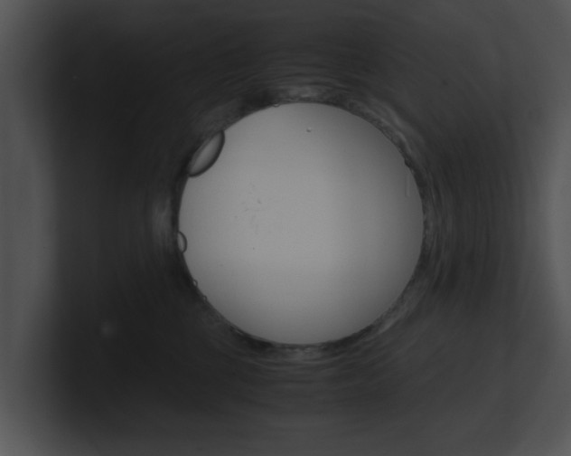 X0000100950377200806241128